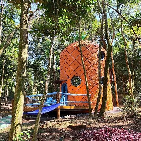 Casa Abacaxi, Vila Magica Bueno Brandão Екстериор снимка